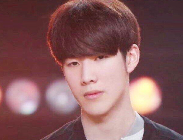 她从不因领 她从不因领