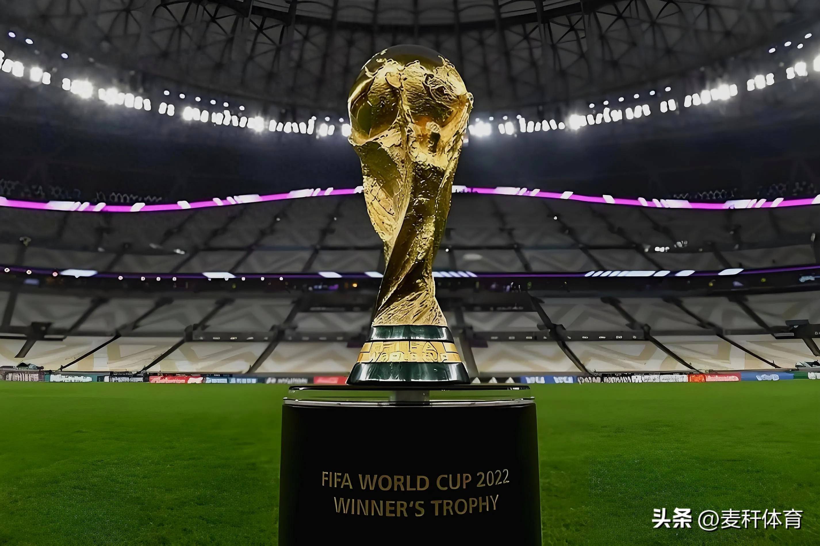 奇视为学习 奇视为学习