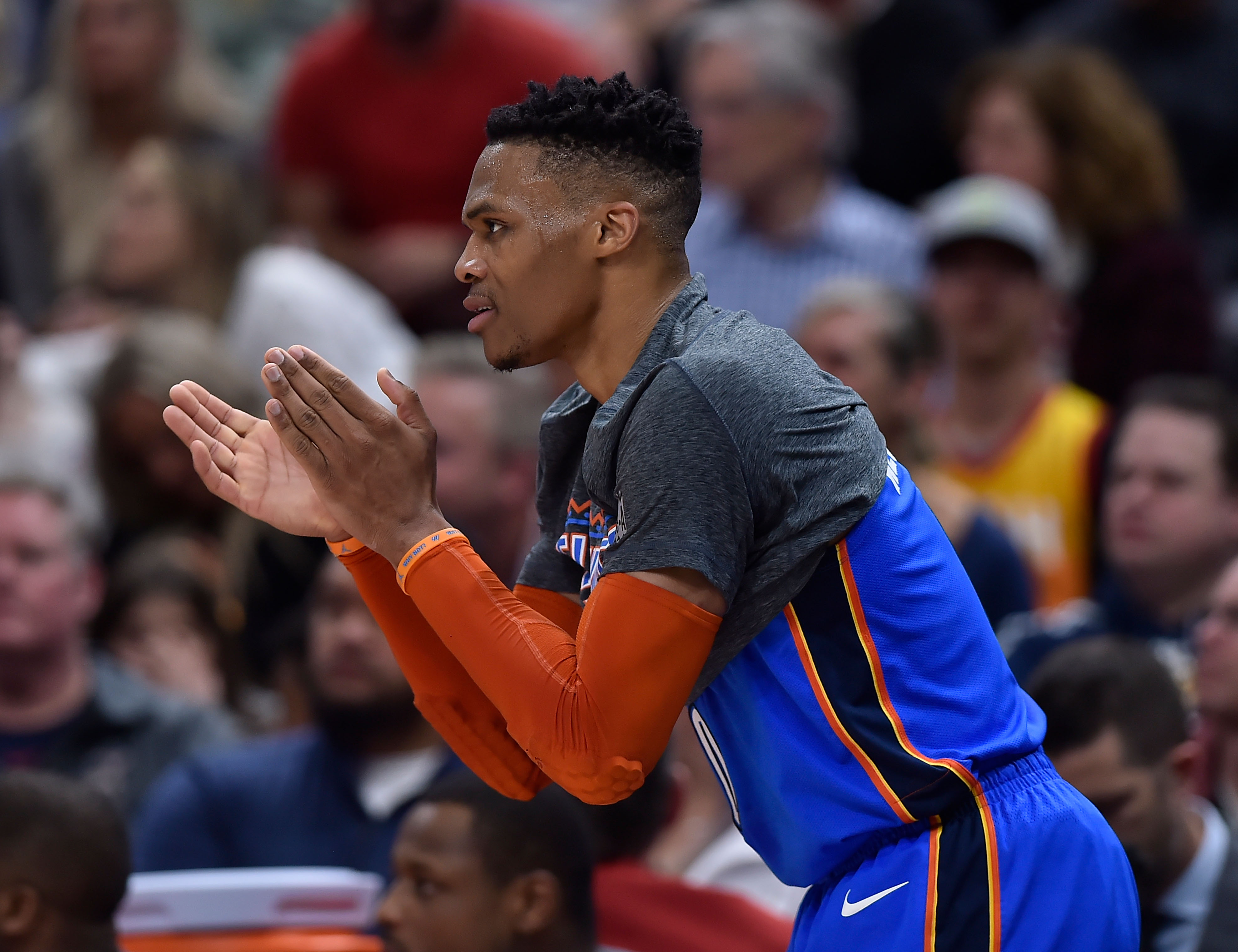 短叶栎牧场 短叶栎牧场